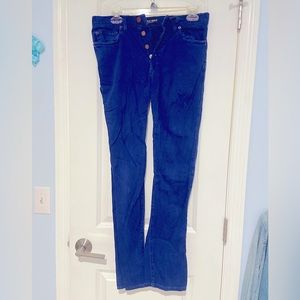 American Apparel Blue Front Button Denim Jean Pants, Size 28